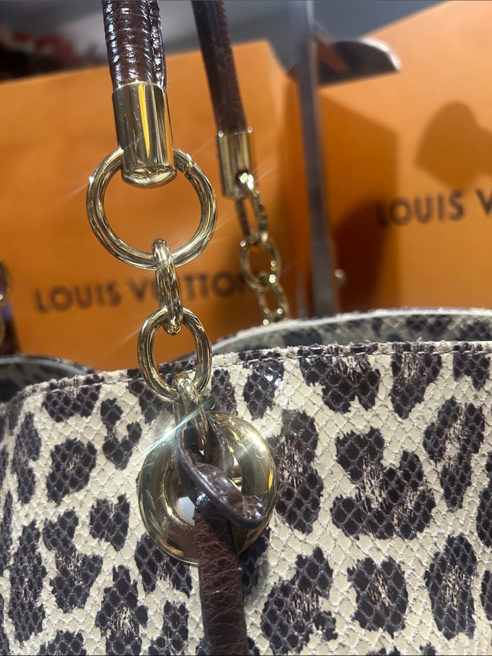 Cynthia Rowley Leopard-Print Tote Bag - Brown/Beige - Picture 4 of 12